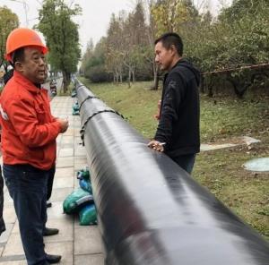 外環線綠化工程2#、3#標段“補植復綠” 工作穩步推進