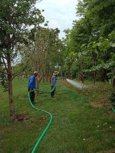 外環線順利完成春季苗木養護工作