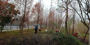 外環線綠化冬季養護進行時